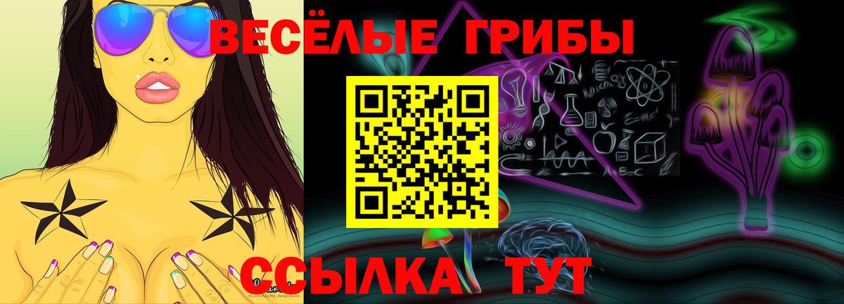 Псилоцибиновые грибы мухоморы  Вход с VPN  Тара 