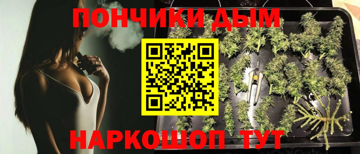 Канабис конопля  Шишки марихуана White Widow  Вход с VPN  Шишки марихуана тримм  Тара 